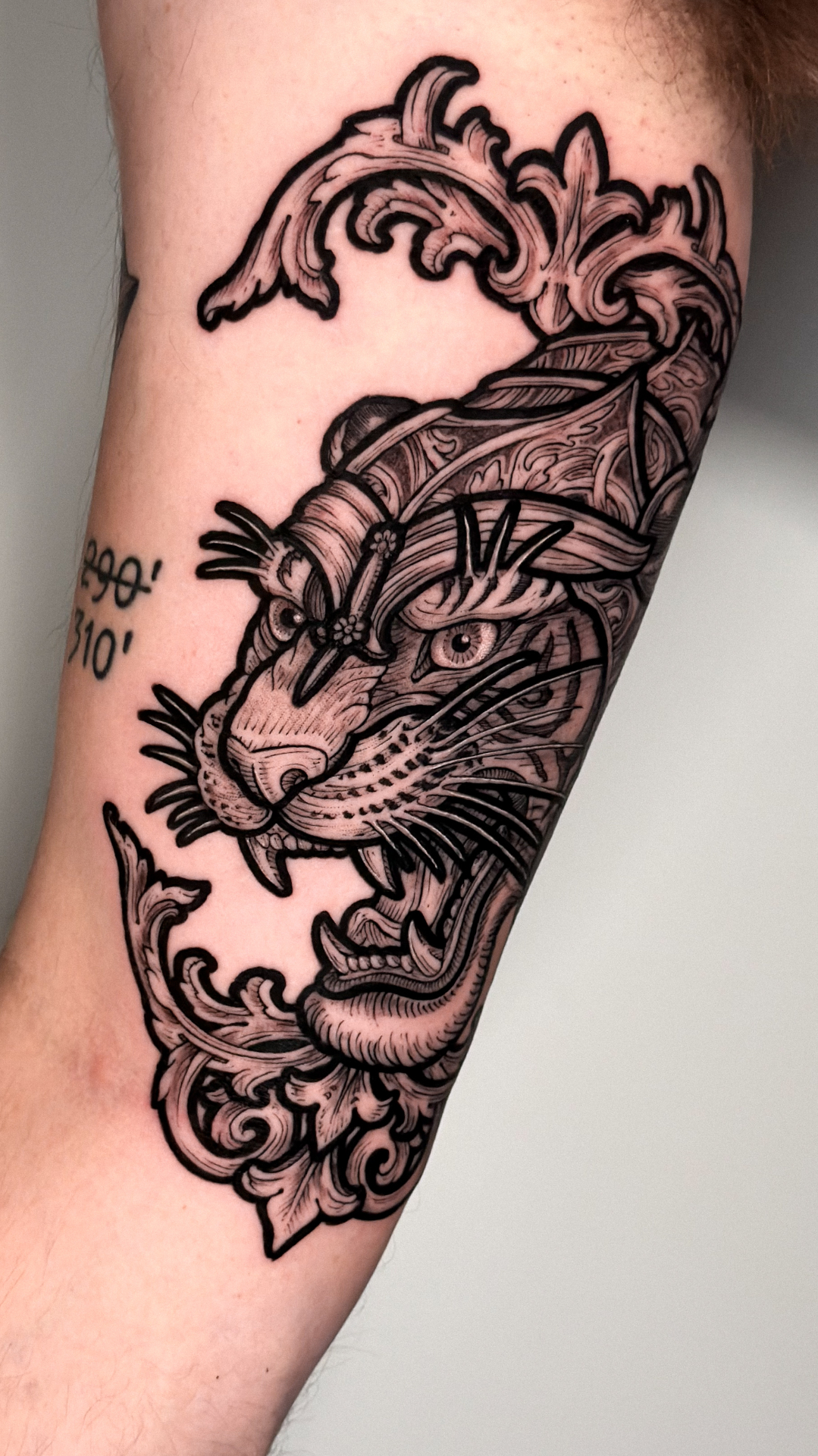 Baroque engraving-style tiger tattoo on the arm